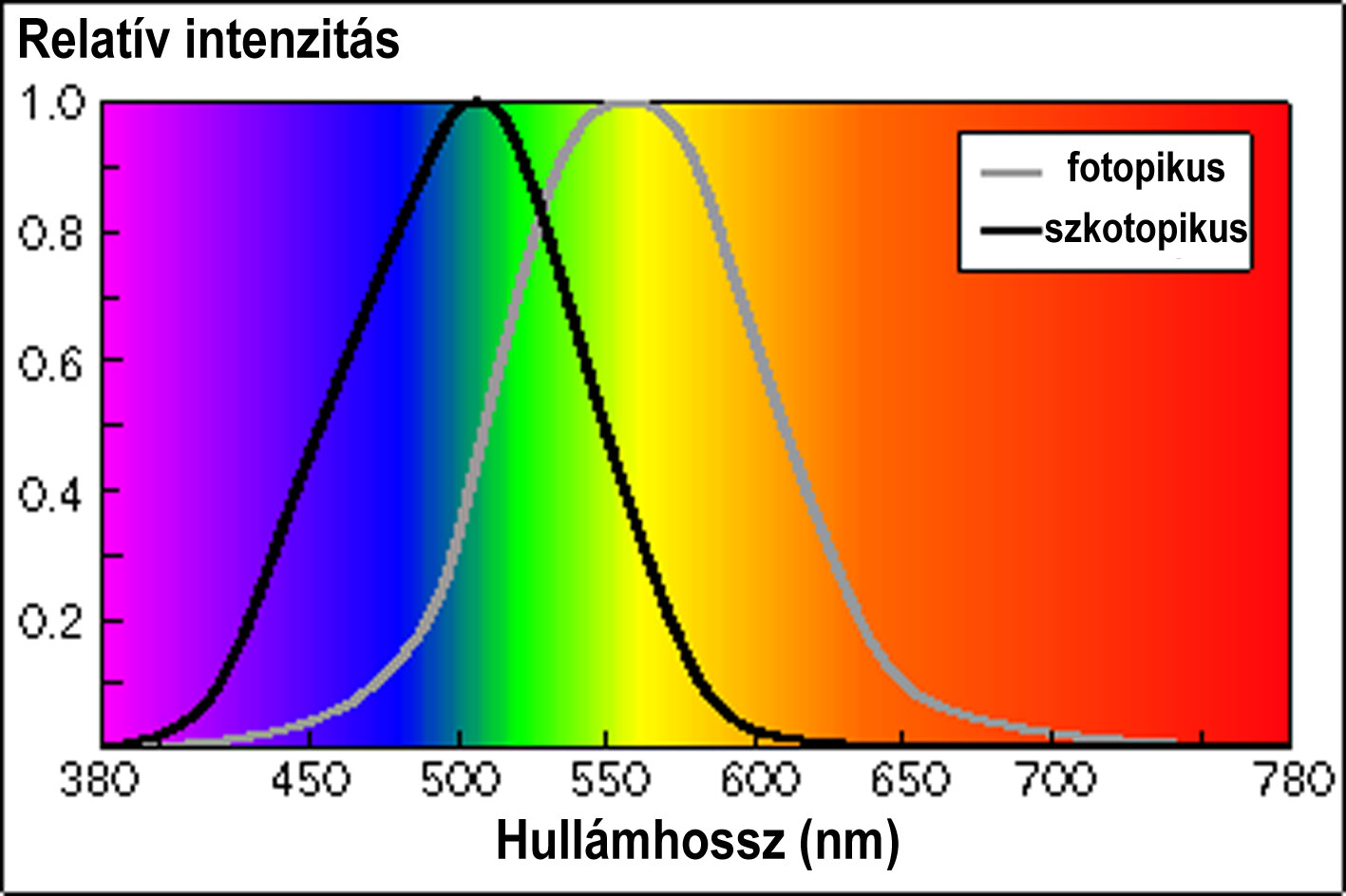 1| Az emberi szem spektrális érzékenysége
