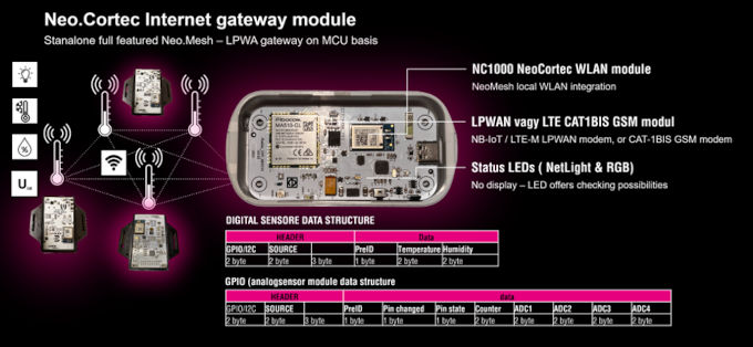 How to set up a IoT network to get associated data from sensor to Cloud?