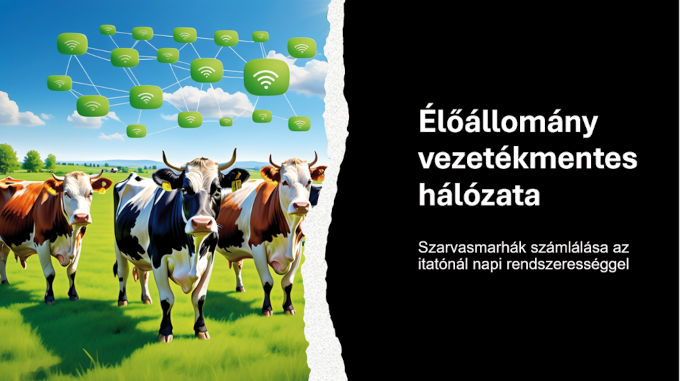 2. ábra Állatok nyilvántartása a szabadban